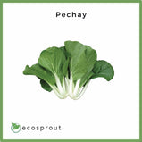 Pechay | 100g