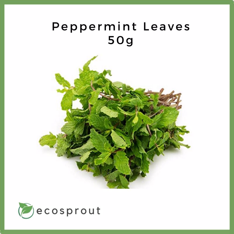 Local Peppermints Fresh Peppermint Leaves For Delivery Near Me – BestSprouts