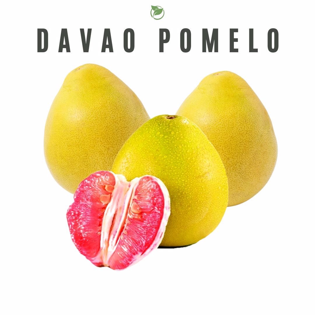 Pomelo | Per Box
