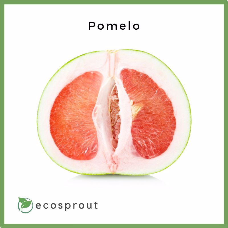 Pomelo | Per Piece