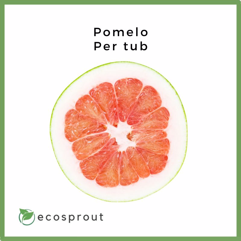 Pomelo | Per Piece