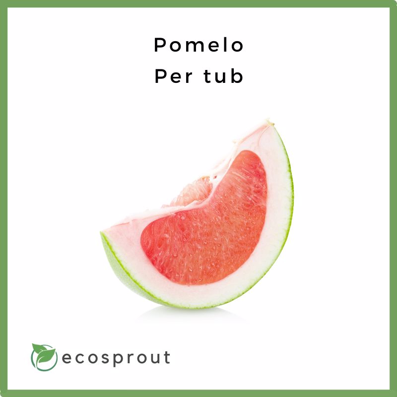 Pomelo | Per Piece