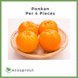 Ponkan | 4 for 148