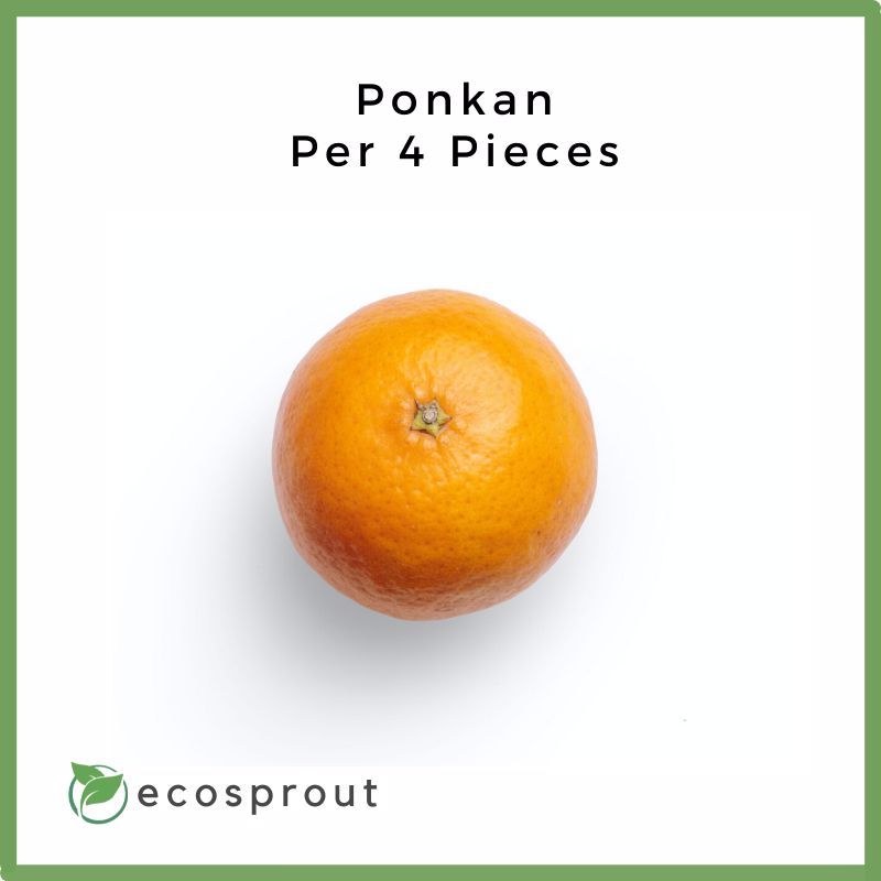 Ponkan | 4 for 204