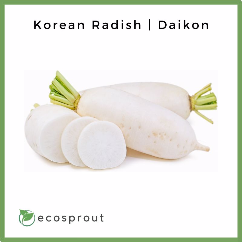 Fresh Korean Radish For Delivery Near Me – Ecosprout