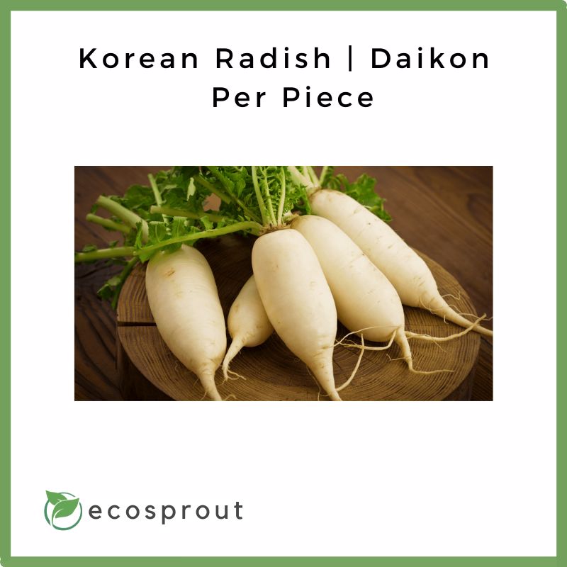 Korean Radish | Daikon | Per Piece