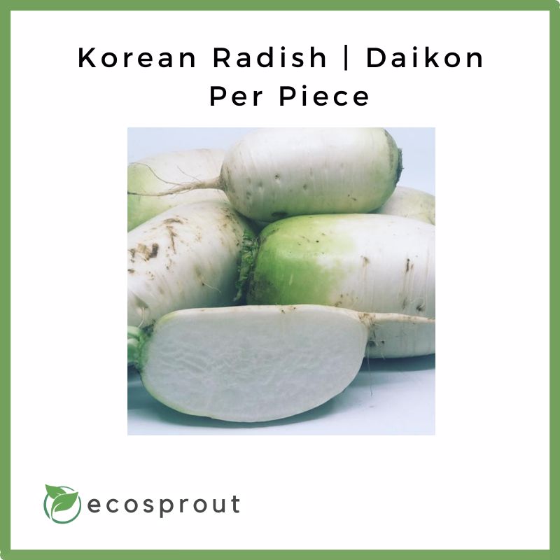 Korean Radish | Daikon | Per Piece