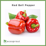 Red Bell Pepper | from 150g