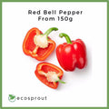 Red Bell Pepper | from 150g