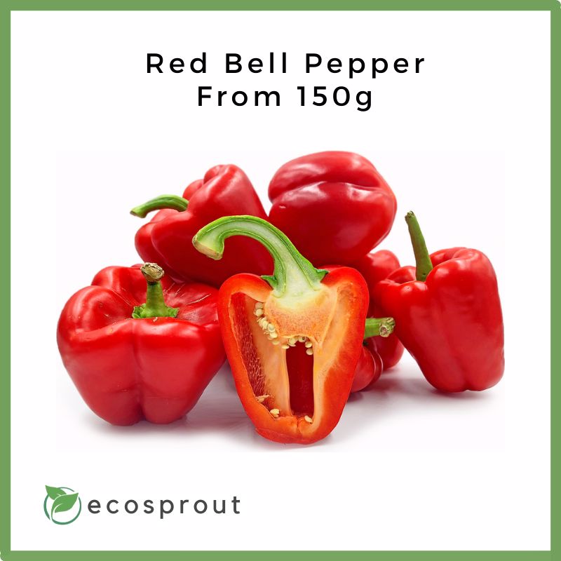 Fresh Red Bell Pepper, 4 ct.