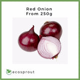 Red Onion | From 250g