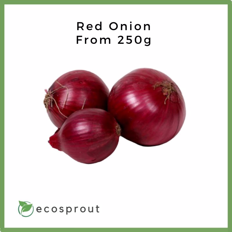 Red Onion | From 250g