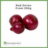 Red Onion | From 250g