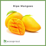 Ripe Mangoes | 1kg