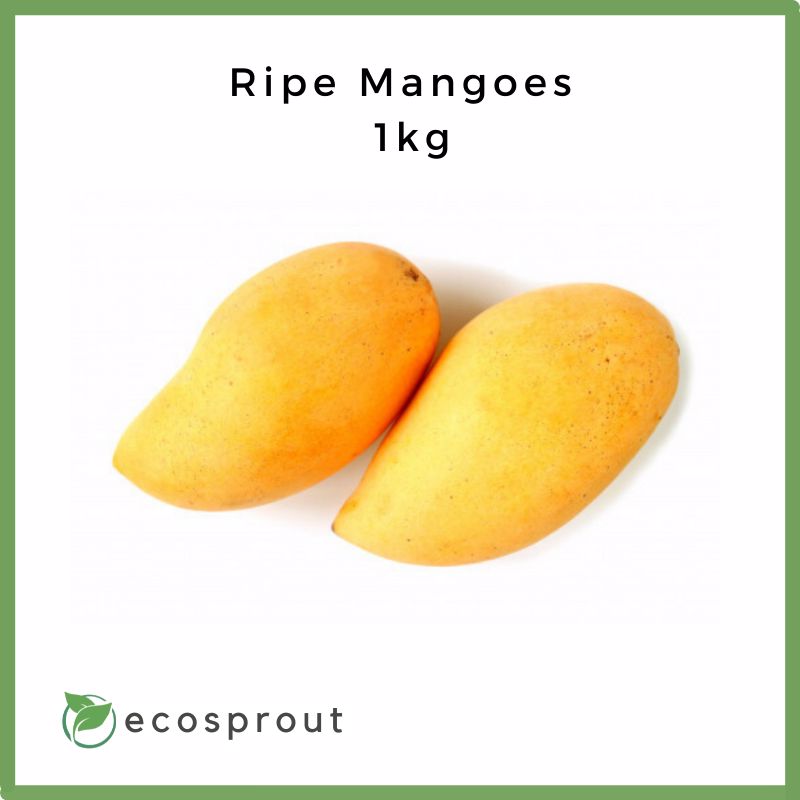 Fresh Ripe Mangoes For Delivery Near Me – Ecosprout