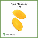 Ripe Mangoes | 1kg