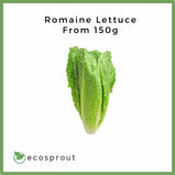 Romaine Lettuce | From 150g