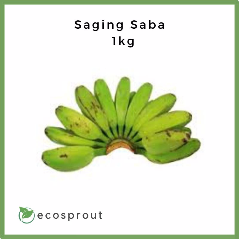 Saging Saba | 1kg