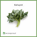 Saluyot | 100g