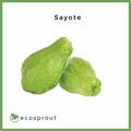 Sayote | KG
