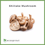 Shiitake Mushroom | 200g