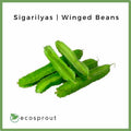 Sigarilyas (Winged Beans) | 250g