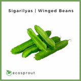 Sigarilyas (Winged Beans) | 250g