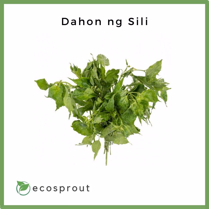 Dahon ng Sili | Chili Leaves | 50g