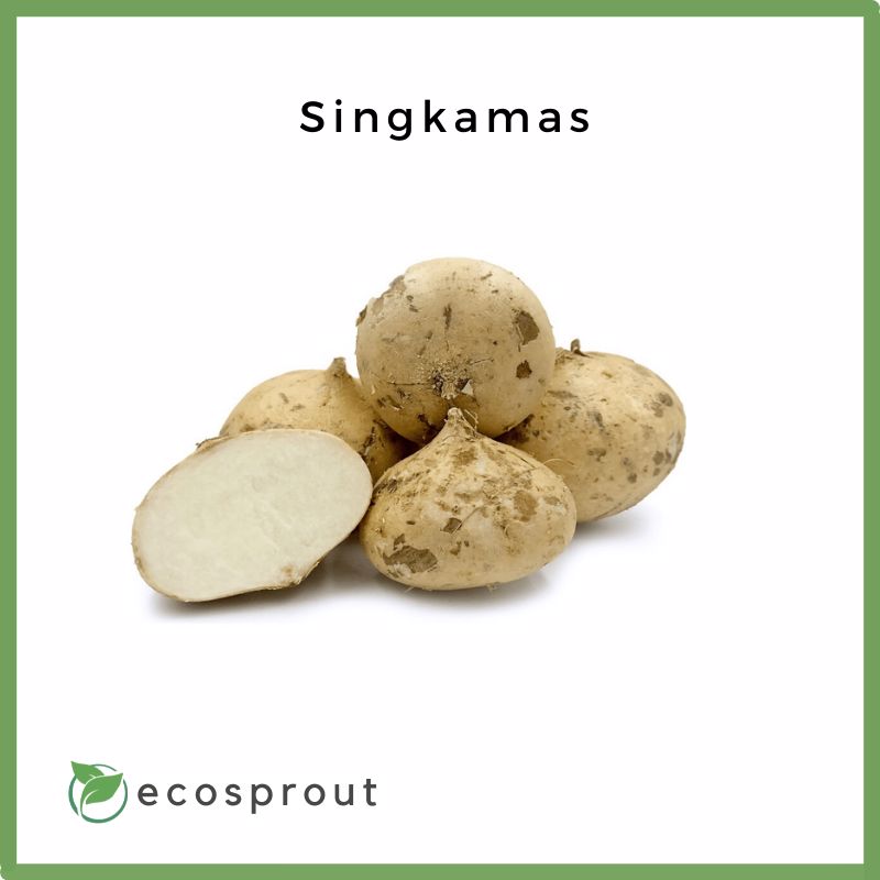 Singkamas | 500g