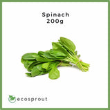 New Zealand Spinach | 250g Per Pack