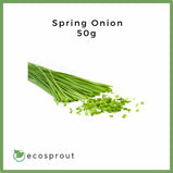 Spring Onion | 50g