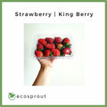 Strawberry | 4 Packs for Php 800
