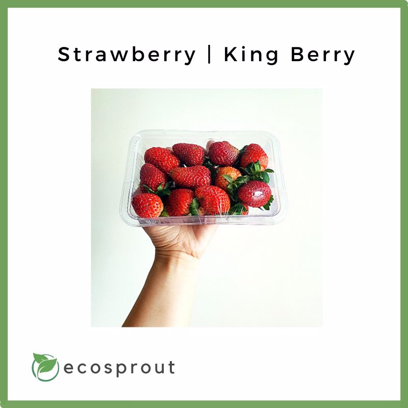 Strawberry | 4 Packs for Php 800