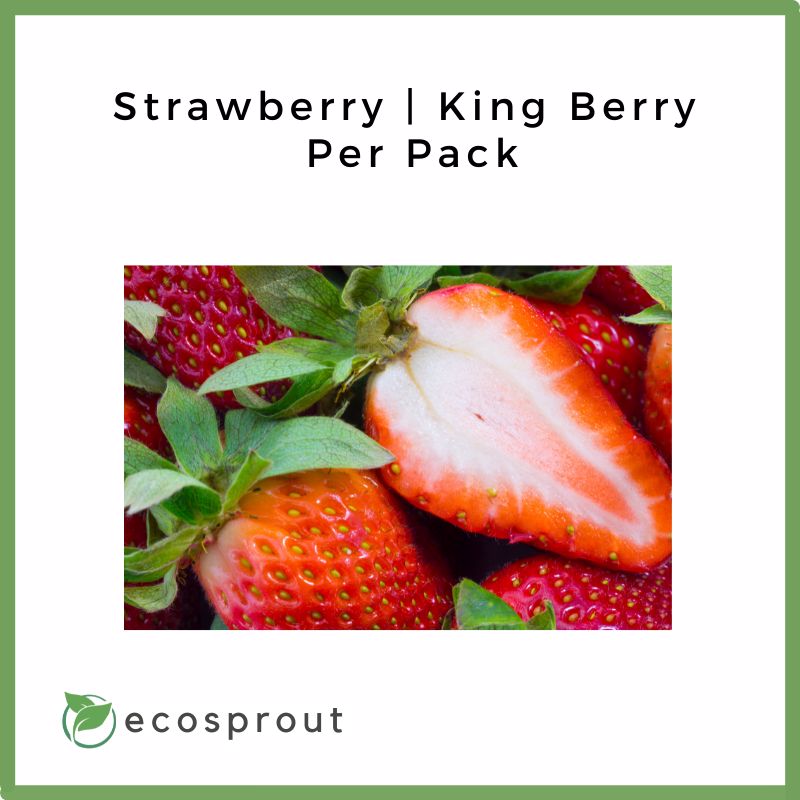 Strawberry | 4 Packs for Php 800
