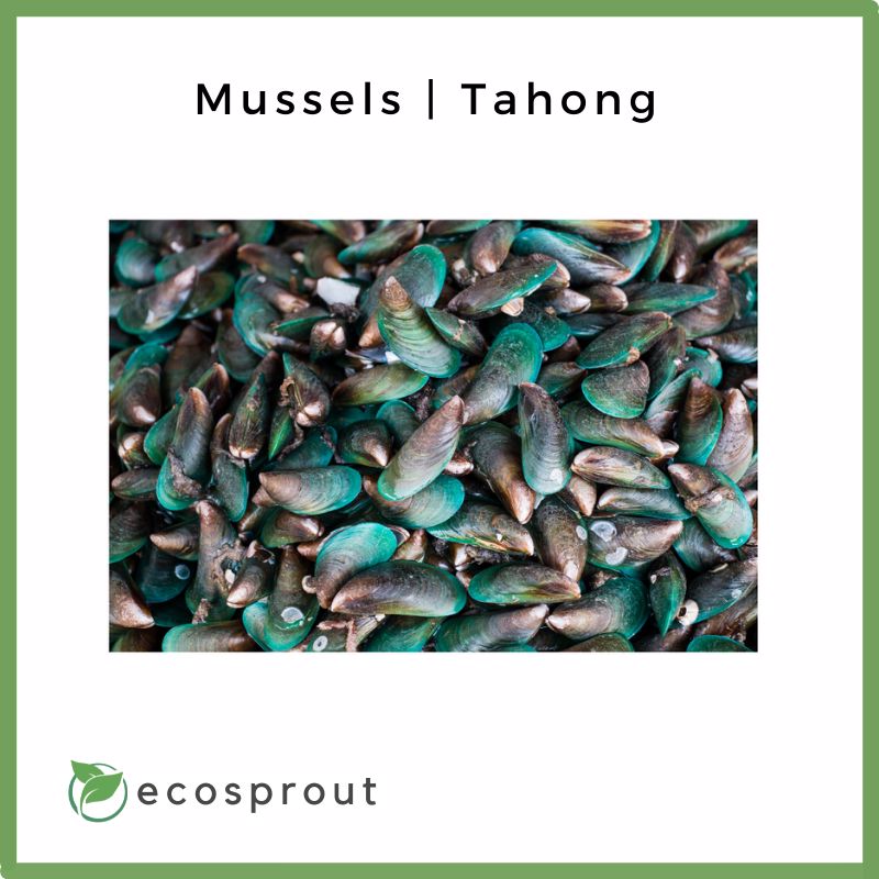 Mussels | Tahong | 500g