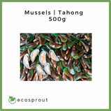 Mussels | Tahong | 500g
