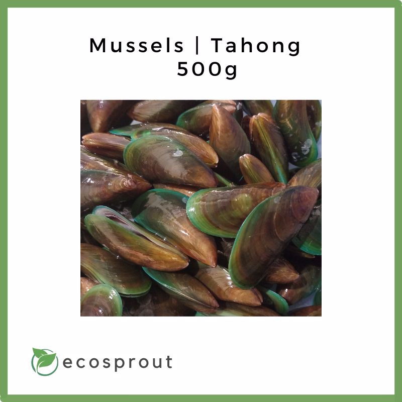 Mussels | Tahong | 500g