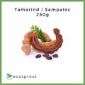 Tamarind | Sampaloc