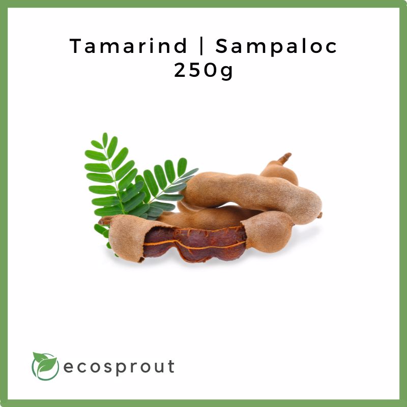 Tamarind | Sampaloc