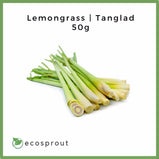 Lemongrass (Tanglad) | 50g