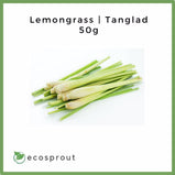 Lemongrass (Tanglad) | 50g