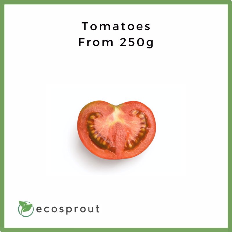 Tomatoes | Kamatis From 250g- 1KG