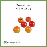Tomatoes | Kamatis From 250g- 1KG
