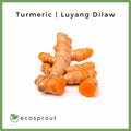 Turmeric | Luyang Dilaw | 250g-1KG