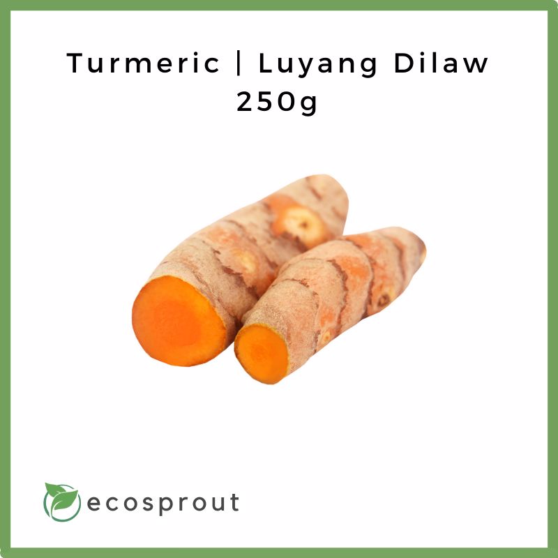 Turmeric | Luyang Dilaw | 250g-1KG