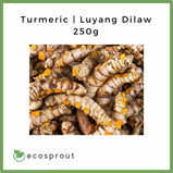 Turmeric | Luyang Dilaw | 250g-1KG