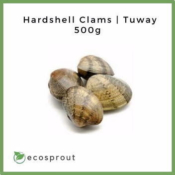 Fresh Hardshell Clams | Tuway For Delivery Near Me – Sprouts