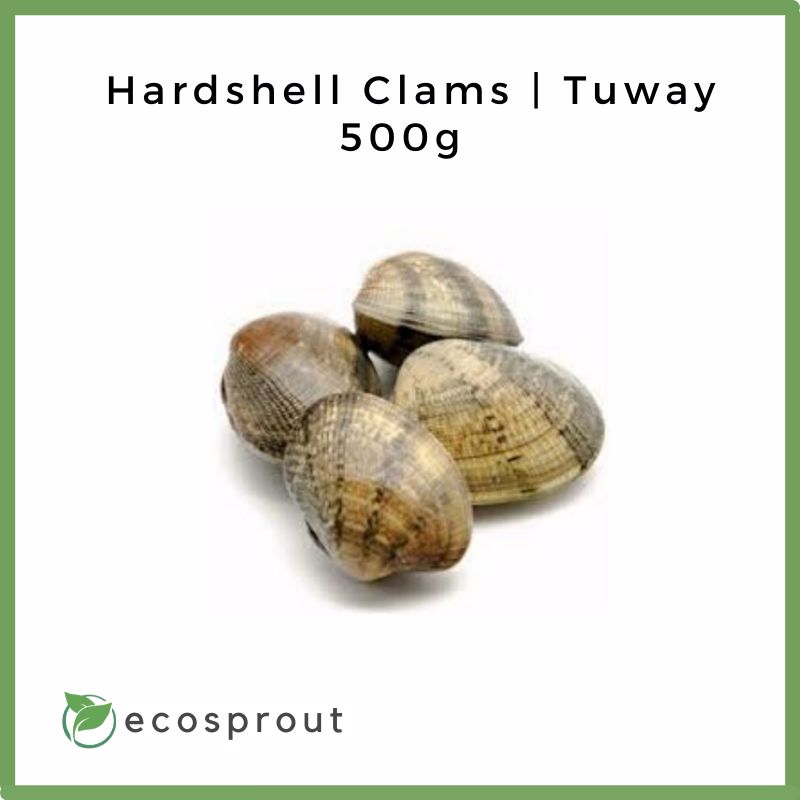 Hardshell Clams | Tuway | 500g