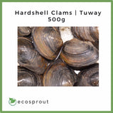Hardshell Clams | Tuway | 500g