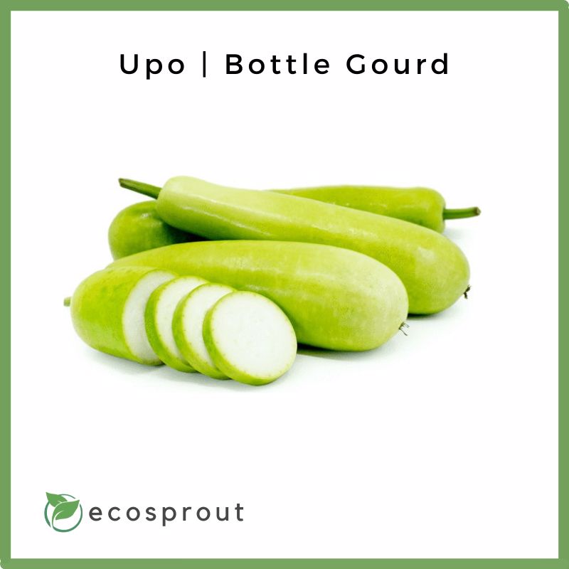 Upo | Bottle Gourd | Piece